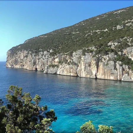 Janas De Mar
