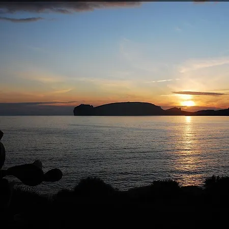 Janas De Mar